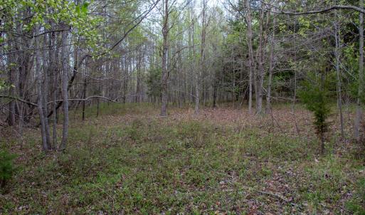 Photo #29 of SOLD property in Off Owens Mill Rd, Nathalie, VA 44.8 acres