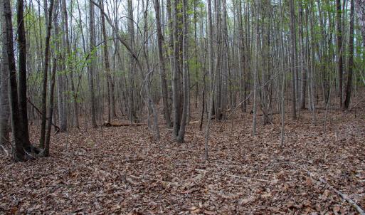Photo #31 of SOLD property in Off Owens Mill Rd, Nathalie, VA 44.8 acres