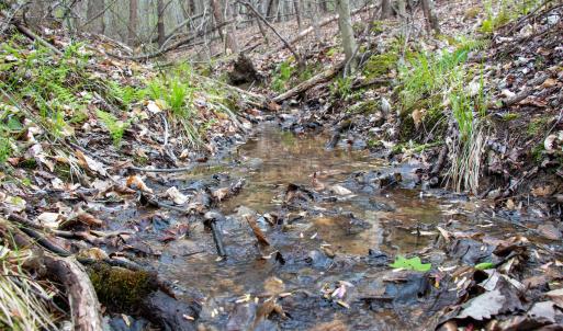 Photo #32 of SOLD property in Off Owens Mill Rd, Nathalie, VA 44.8 acres