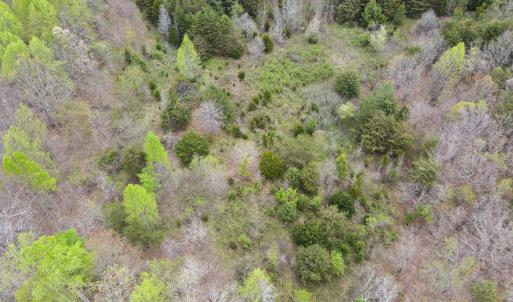 Photo #33 of SOLD property in Off Owens Mill Rd, Nathalie, VA 44.8 acres