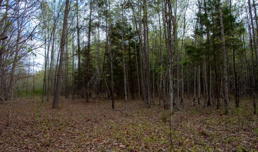 Photo #34 of SOLD property in Off Owens Mill Rd, Nathalie, VA 44.8 acres