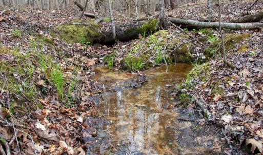 Photo #35 of SOLD property in Off Owens Mill Rd, Nathalie, VA 44.8 acres