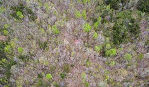 Photo #36 of Off Owens Mill Rd, Nathalie, VA 44.8 acres