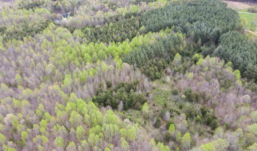 Photo #37 of SOLD property in Off Owens Mill Rd, Nathalie, VA 44.8 acres
