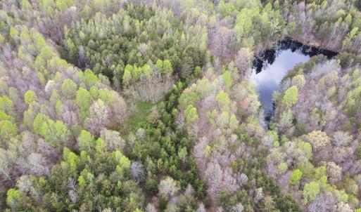 Photo #39 of SOLD property in Off Owens Mill Rd, Nathalie, VA 44.8 acres