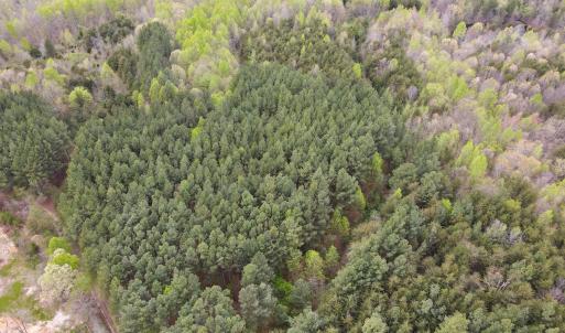 Photo #40 of SOLD property in Off Owens Mill Rd, Nathalie, VA 44.8 acres