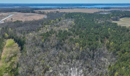Photo #29 of 368 Soundside Rd, Columbia, NC 280.0 acres