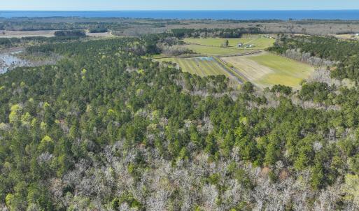 Photo #33 of 368 Soundside Rd, Columbia, NC 280.0 acres