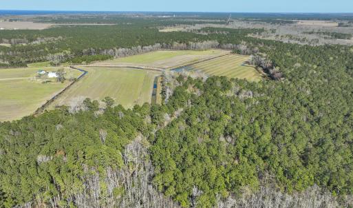 Photo #4 of 368 Soundside Rd, Columbia, NC 280.0 acres