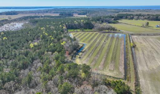 Photo #6 of 368 Soundside Rd, Columbia, NC 280.0 acres