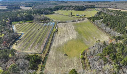 Photo #7 of 368 Soundside Rd, Columbia, NC 280.0 acres