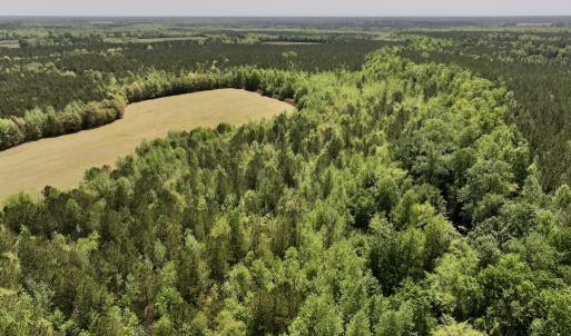 Photo #9 of SOLD property in Off Fire Tower Road, Jackson, NC 12.5 acres