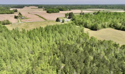 Photo #10 of SOLD property in Off Fire Tower Road, Jackson, NC 12.5 acres