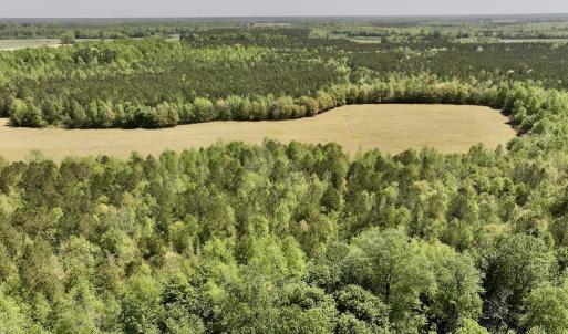 Photo #11 of SOLD property in Off Fire Tower Road, Jackson, NC 12.5 acres