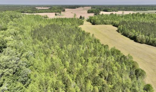 Photo #12 of SOLD property in Off Fire Tower Road, Jackson, NC 12.5 acres