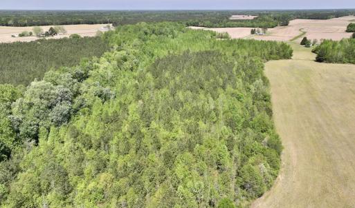 Photo #13 of Off Fire Tower Road, Jackson, NC 12.5 acres