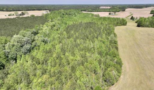 Photo #13 of SOLD property in Off Fire Tower Road, Jackson, NC 12.5 acres