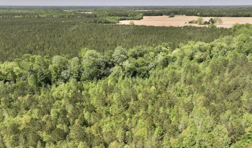 Photo #14 of SOLD property in Off Fire Tower Road, Jackson, NC 12.5 acres