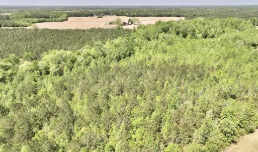 Photo #15 of SOLD property in Off Fire Tower Road, Jackson, NC 12.5 acres