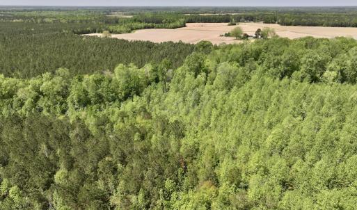 Photo #16 of SOLD property in Off Fire Tower Road, Jackson, NC 12.5 acres