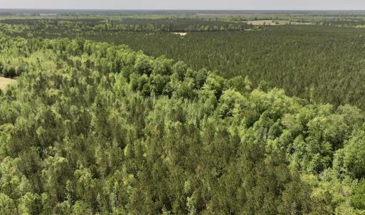 Photo #17 of SOLD property in Off Fire Tower Road, Jackson, NC 12.5 acres