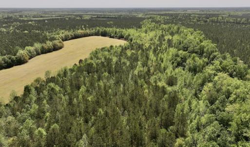 Photo #8 of SOLD property in Off Fire Tower Road, Jackson, NC 12.5 acres