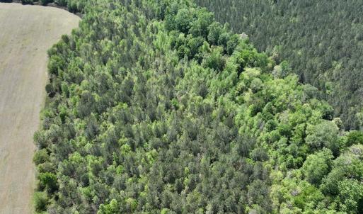 Photo #22 of SOLD property in Off Fire Tower Road, Jackson, NC 12.5 acres