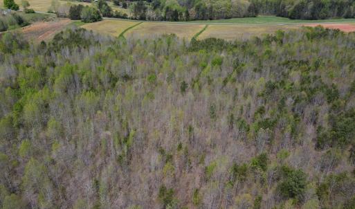Photo #10 of SOLD property in Off Elkhorn Rd, Java, VA 34.4 acres