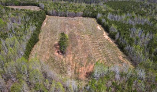Photo #11 of SOLD property in Off Elkhorn Rd, Java, VA 34.4 acres