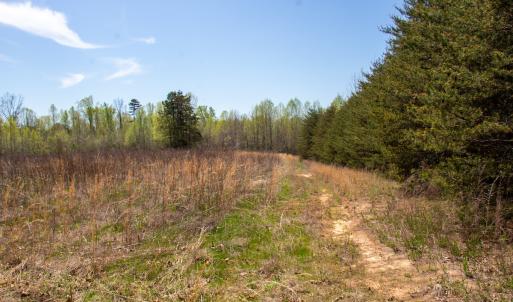 Photo #12 of SOLD property in Off Elkhorn Rd, Java, VA 34.4 acres