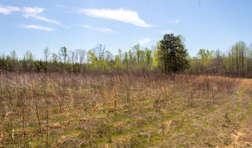 Photo #13 of SOLD property in Off Elkhorn Rd, Java, VA 34.4 acres