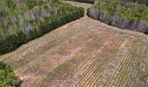 Photo #14 of SOLD property in Off Elkhorn Rd, Java, VA 34.4 acres