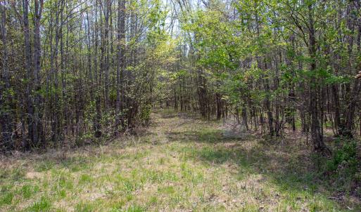 Photo #15 of SOLD property in Off Elkhorn Rd, Java, VA 34.4 acres