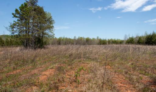 Photo #16 of SOLD property in Off Elkhorn Rd, Java, VA 34.4 acres
