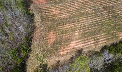 Photo #17 of SOLD property in Off Elkhorn Rd, Java, VA 34.4 acres