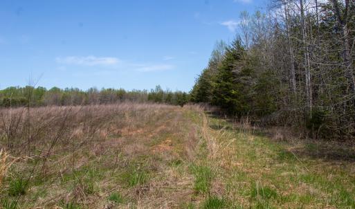 Photo #19 of SOLD property in Off Elkhorn Rd, Java, VA 34.4 acres