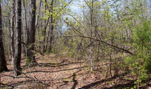 Photo #20 of SOLD property in Off Elkhorn Rd, Java, VA 34.4 acres