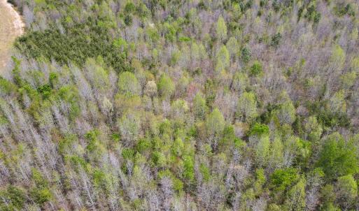 Photo #21 of SOLD property in Off Elkhorn Rd, Java, VA 34.4 acres