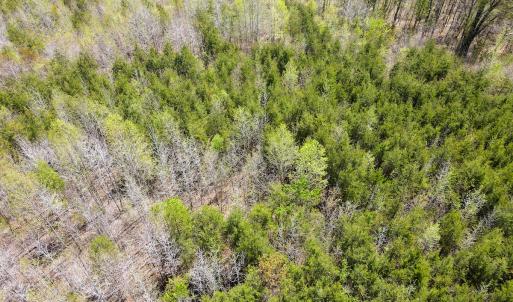 Photo #22 of SOLD property in Off Elkhorn Rd, Java, VA 34.4 acres