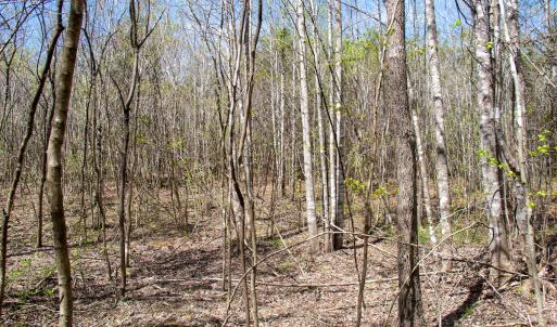 Photo #24 of SOLD property in Off Elkhorn Rd, Java, VA 34.4 acres