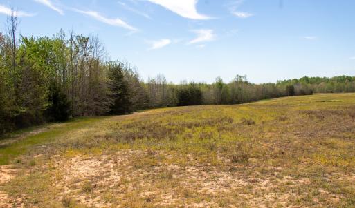 Photo #30 of SOLD property in Off Elkhorn Rd, Java, VA 34.4 acres