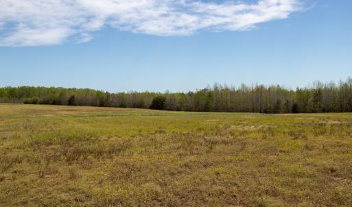 Photo #5 of SOLD property in Off Elkhorn Rd, Java, VA 34.4 acres