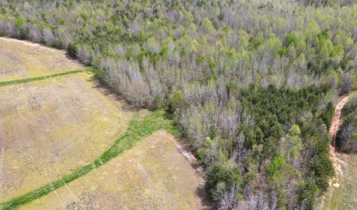Photo #7 of SOLD property in Off Elkhorn Rd, Java, VA 34.4 acres