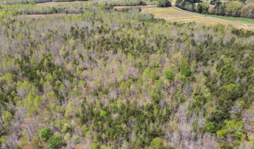 Photo #9 of SOLD property in Off Elkhorn Rd, Java, VA 34.4 acres