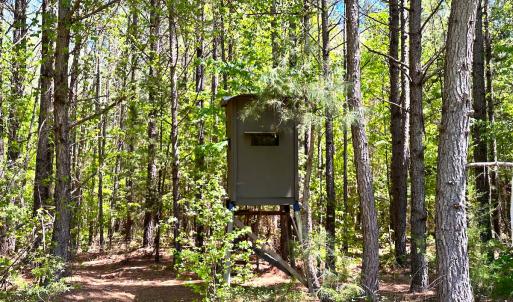 Photo #10 of SOLD property in Off Liberty Rd, Alberta, VA 57.8 acres