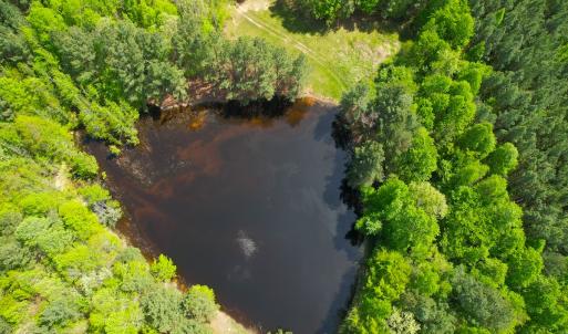 Photo #12 of SOLD property in Off Liberty Rd, Alberta, VA 57.8 acres