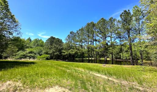 Photo #14 of SOLD property in Off Liberty Rd, Alberta, VA 57.8 acres