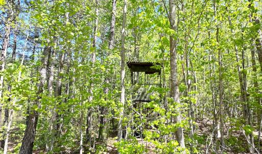 Photo #15 of SOLD property in Off Liberty Rd, Alberta, VA 57.8 acres
