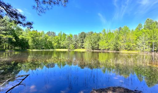 Photo #17 of SOLD property in Off Liberty Rd, Alberta, VA 57.8 acres