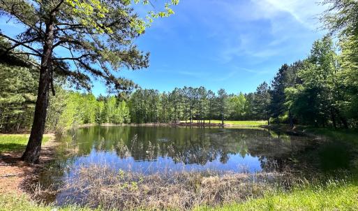 Photo #18 of SOLD property in Off Liberty Rd, Alberta, VA 57.8 acres